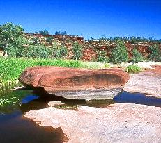 Palm Valley, Northern Territory