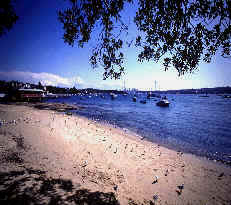 Beach in New South Wales, Australia