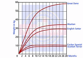 GENERAL GROWTH RATES IN VARIOUS BREEDS OF DOGS