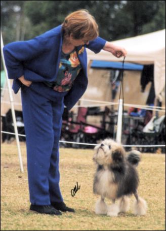 Phoenix - CHINAROAD GLOBETROTTER aged 9 months winning Best Puppy in Group